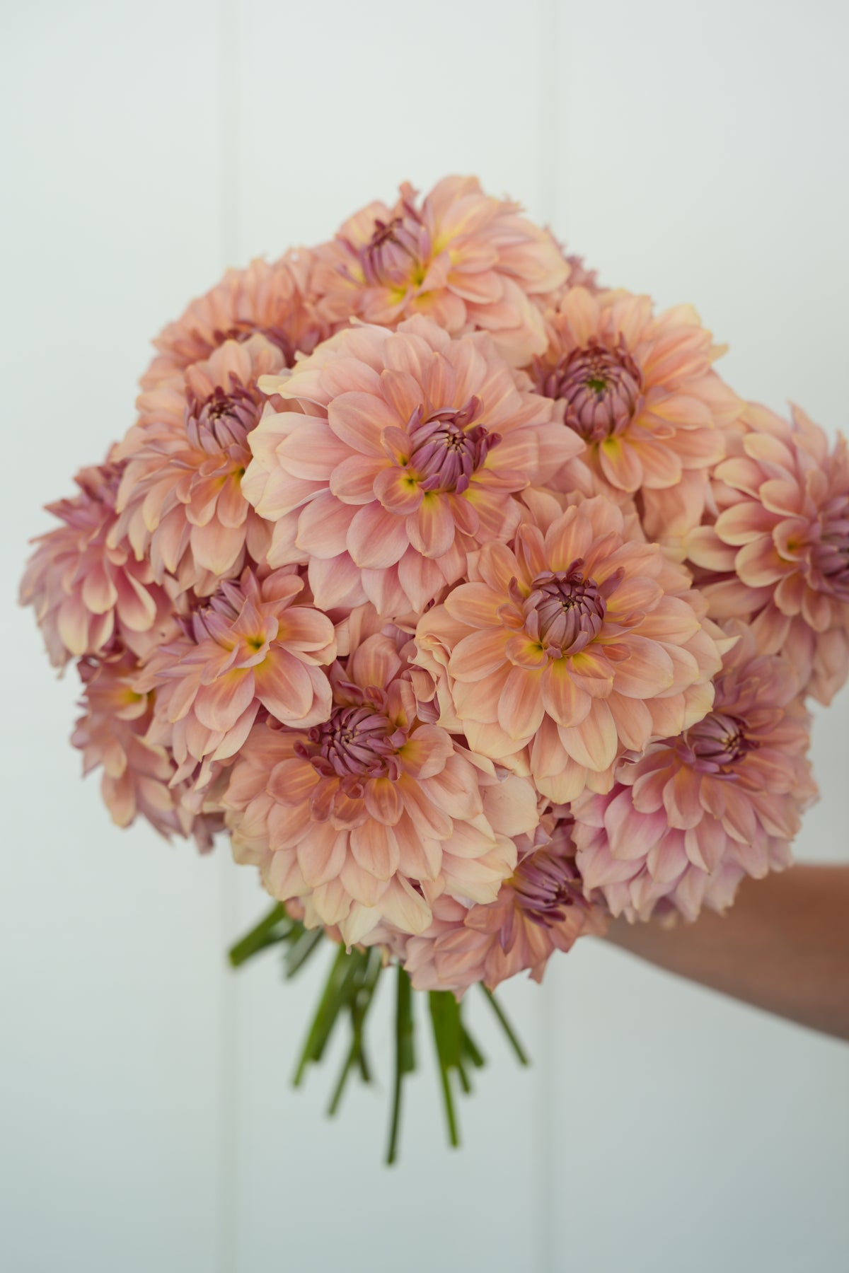 RM HONEY BLUSH - NEW 2027!