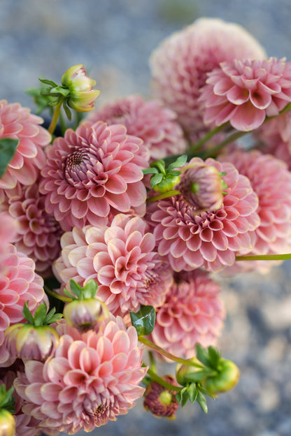 RM COPPER SHIMMER - NEW 2026!