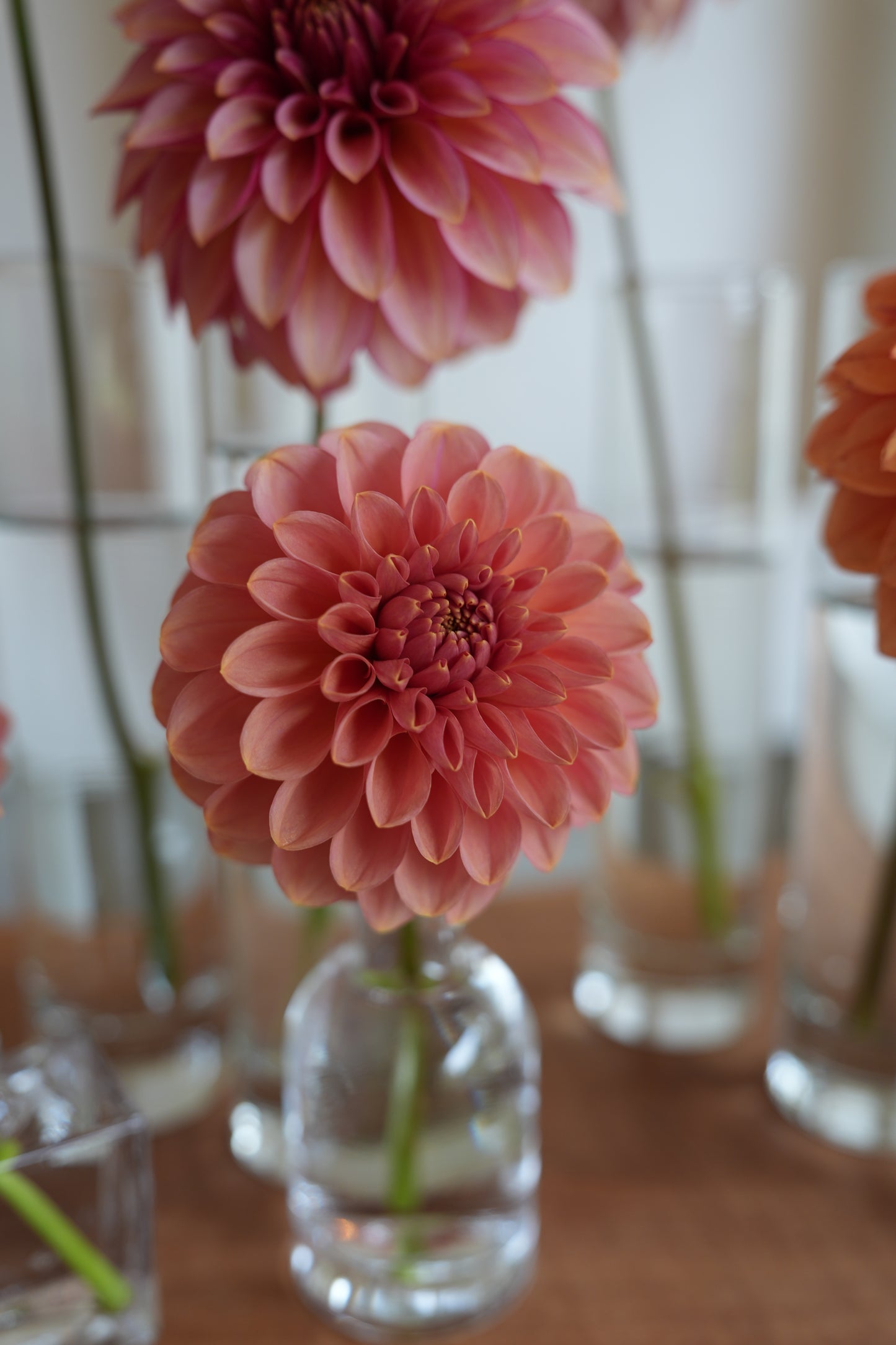 RM COPPER SHIMMER - NEW 2026!