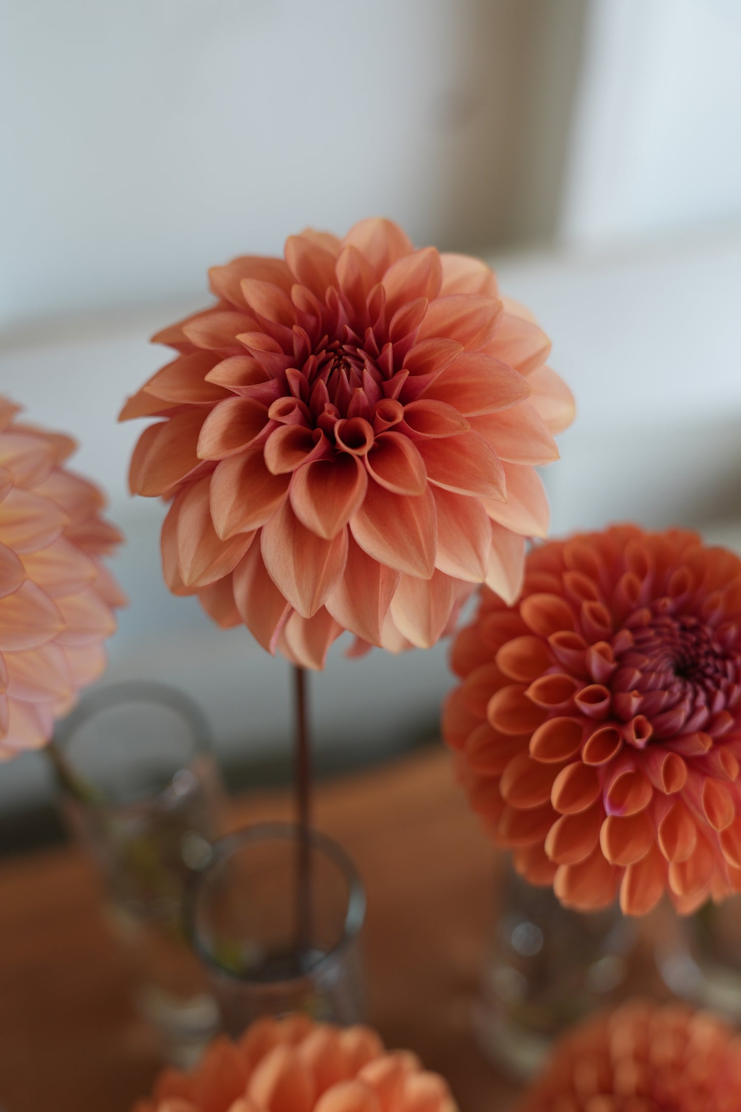 RM ROSE GOLD - NEW 2026!