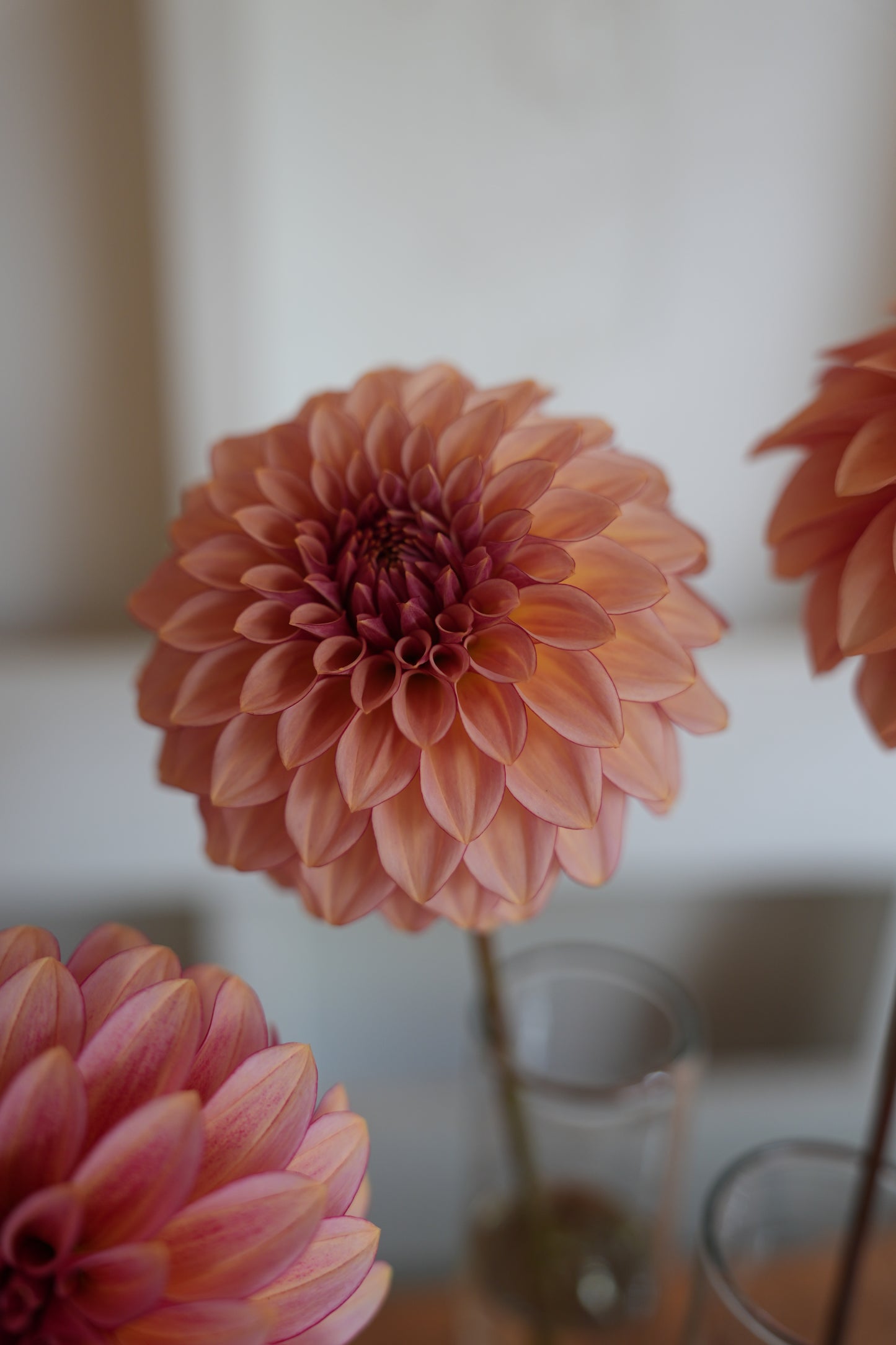 RM MIRAGE - NEW 2026!