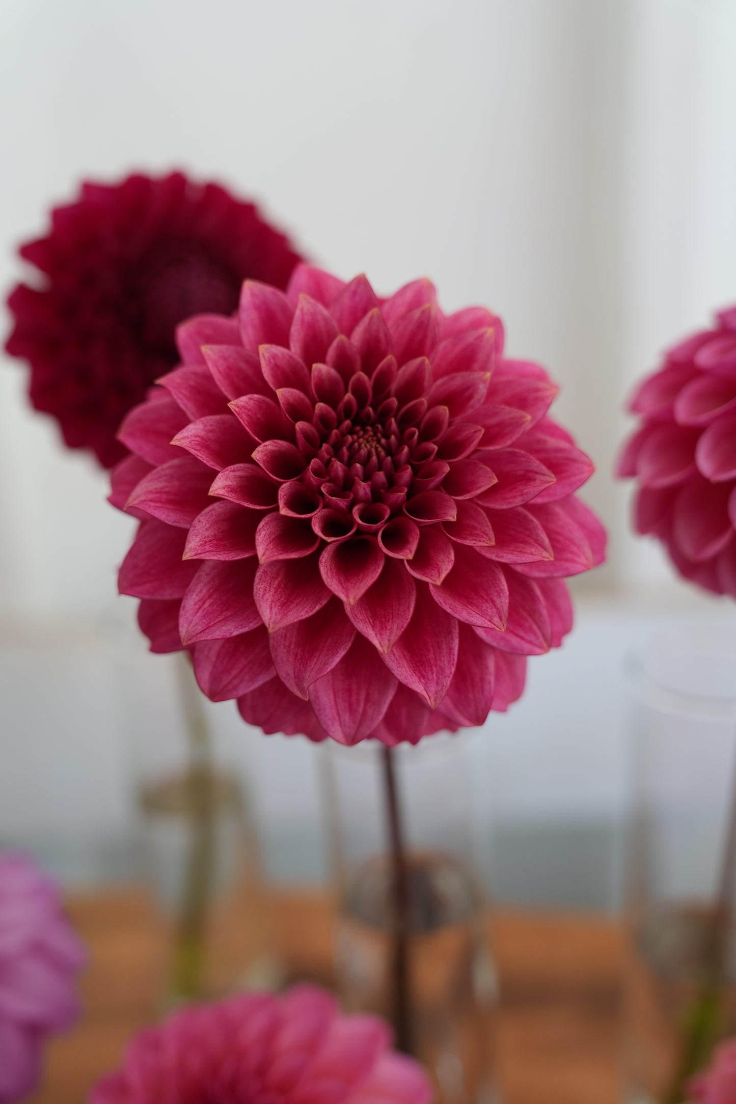 RM SMOKESHOW - NEW 2026!