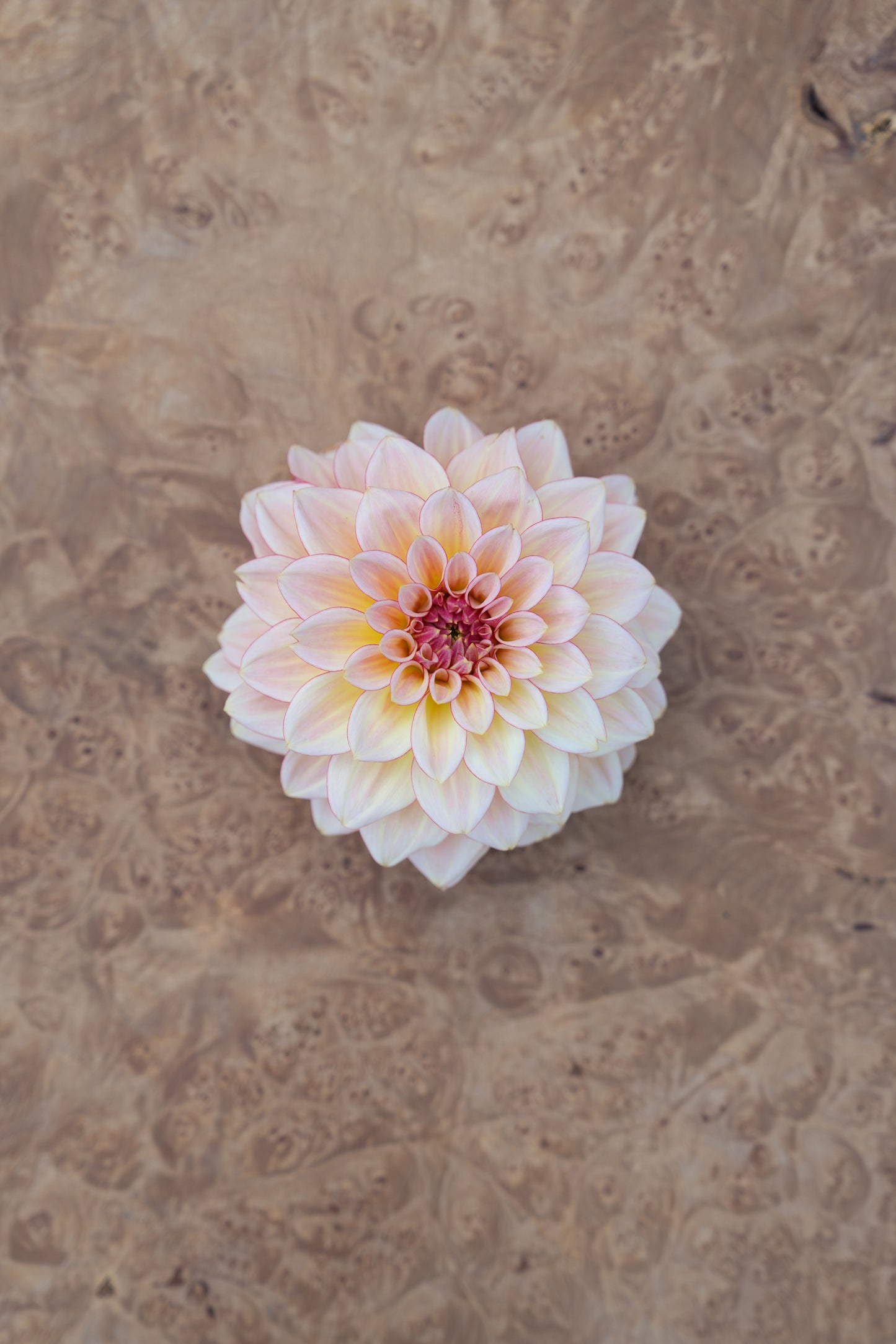 RM WARMTH - NEW 2026!