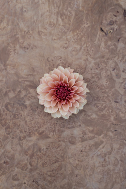 RM ROSE GOLD - NEW 2026!