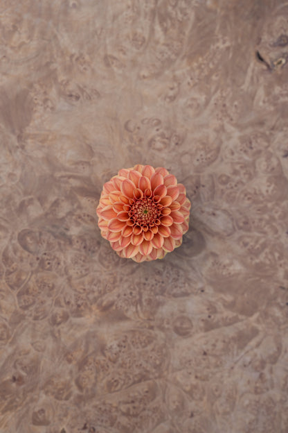 RM RIANN - NEW 2026! - LIMIT 1