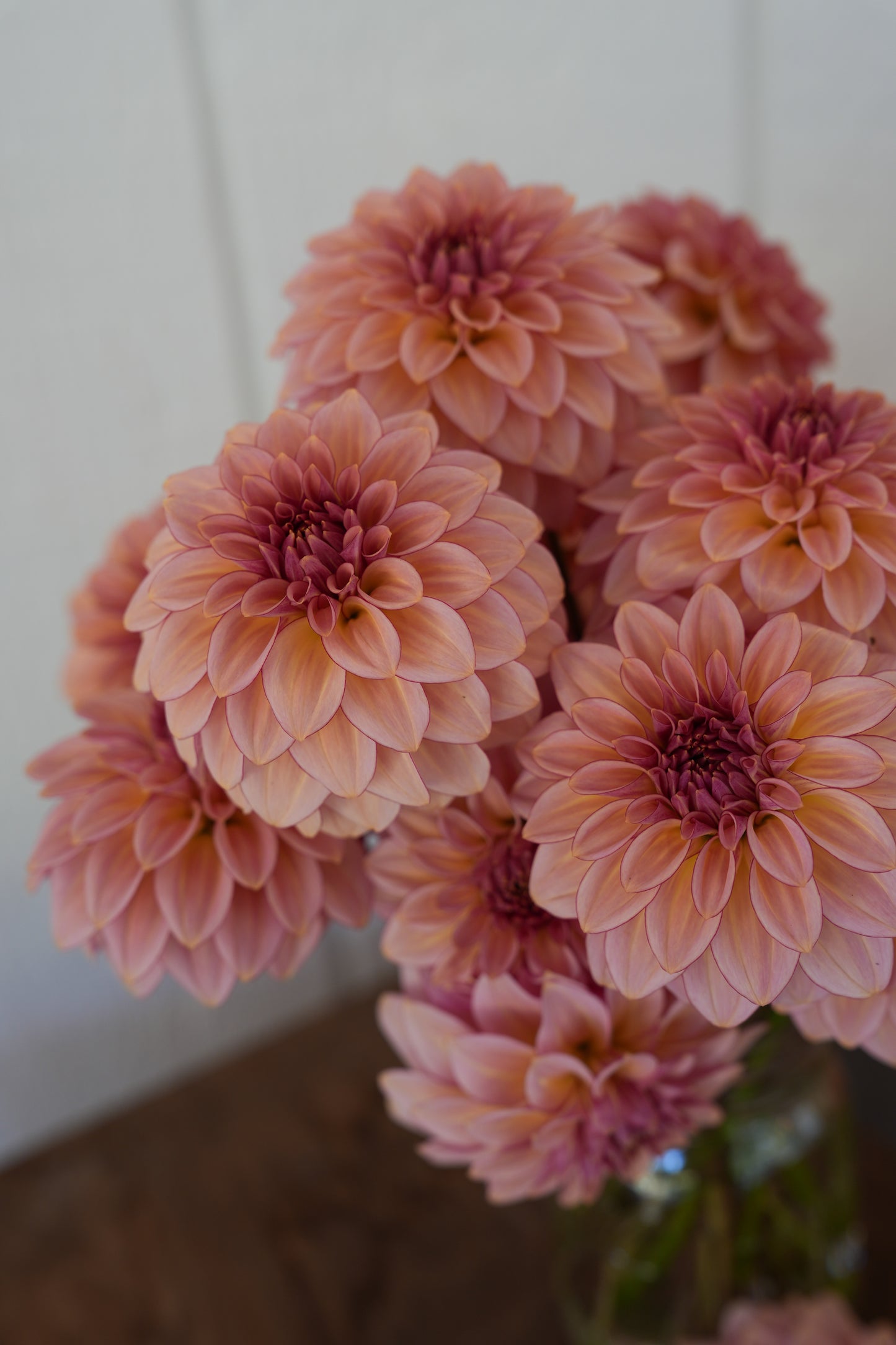 RM MIRAGE - NEW 2026!