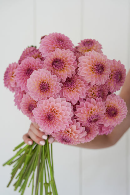 RM FAIRYTALE - NEW 2026