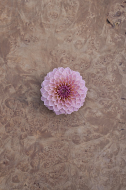 RM FAIRYTALE - NEW 2026