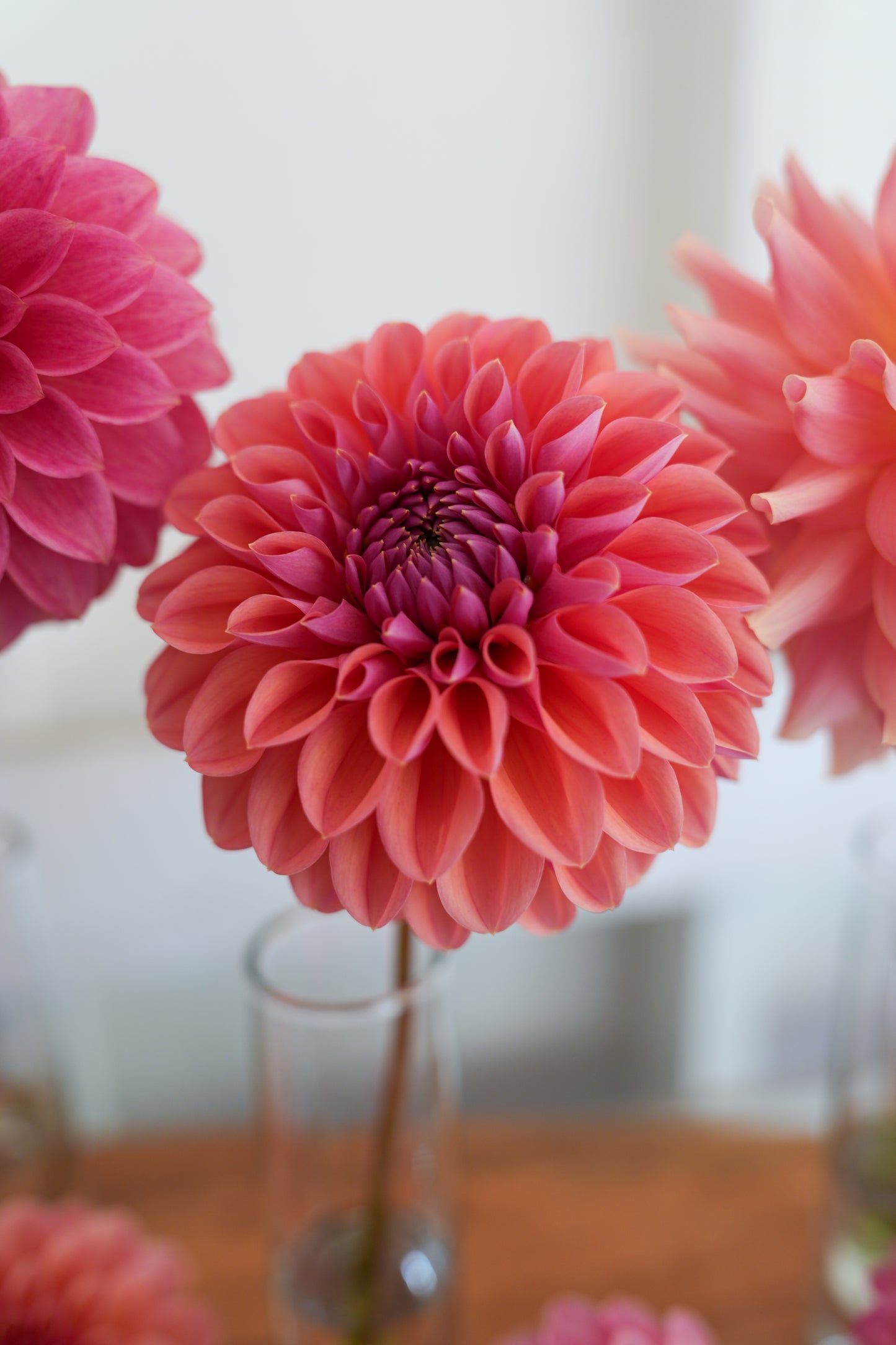 RM ILLUSION - NEW 2026!