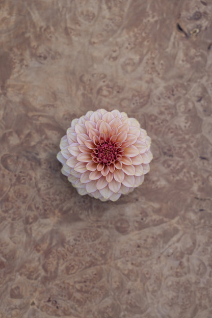 RM MIRAGE - NEW 2026!