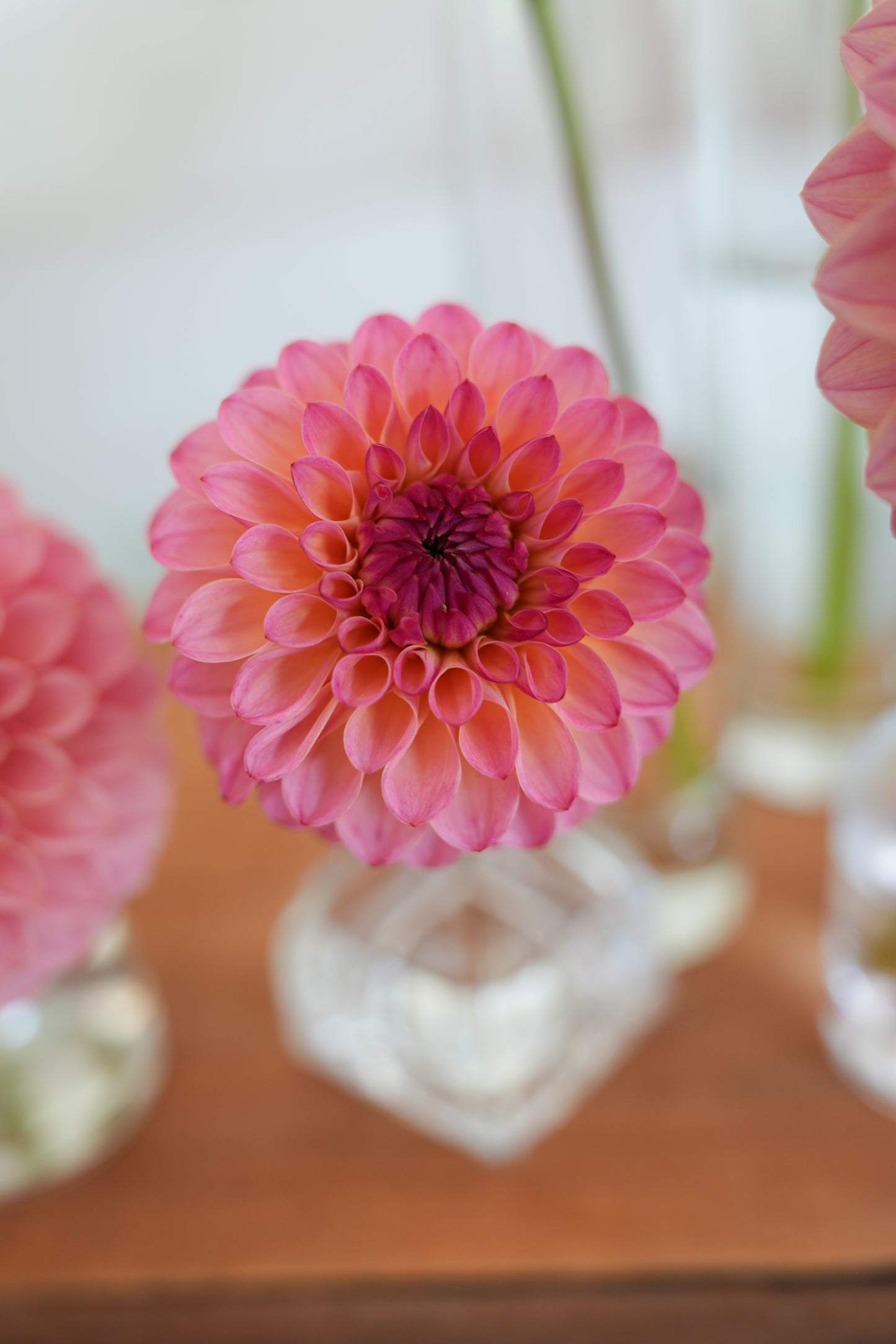 RM PARTY POPPER - NEW 2026!