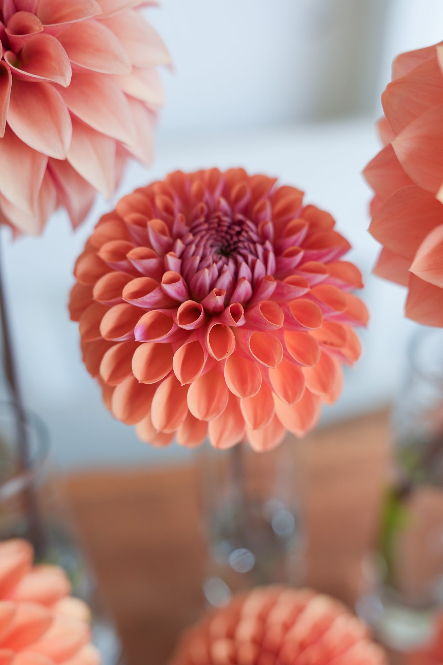 RM PUMPKIN SPICE - NEW 2026!