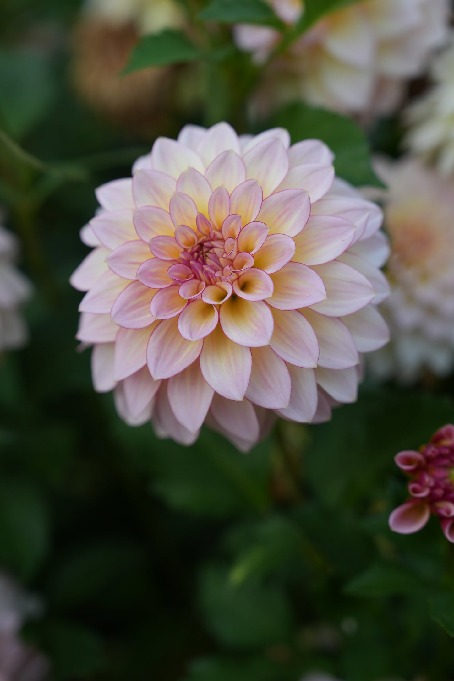 RM WARMTH - NEW 2026!