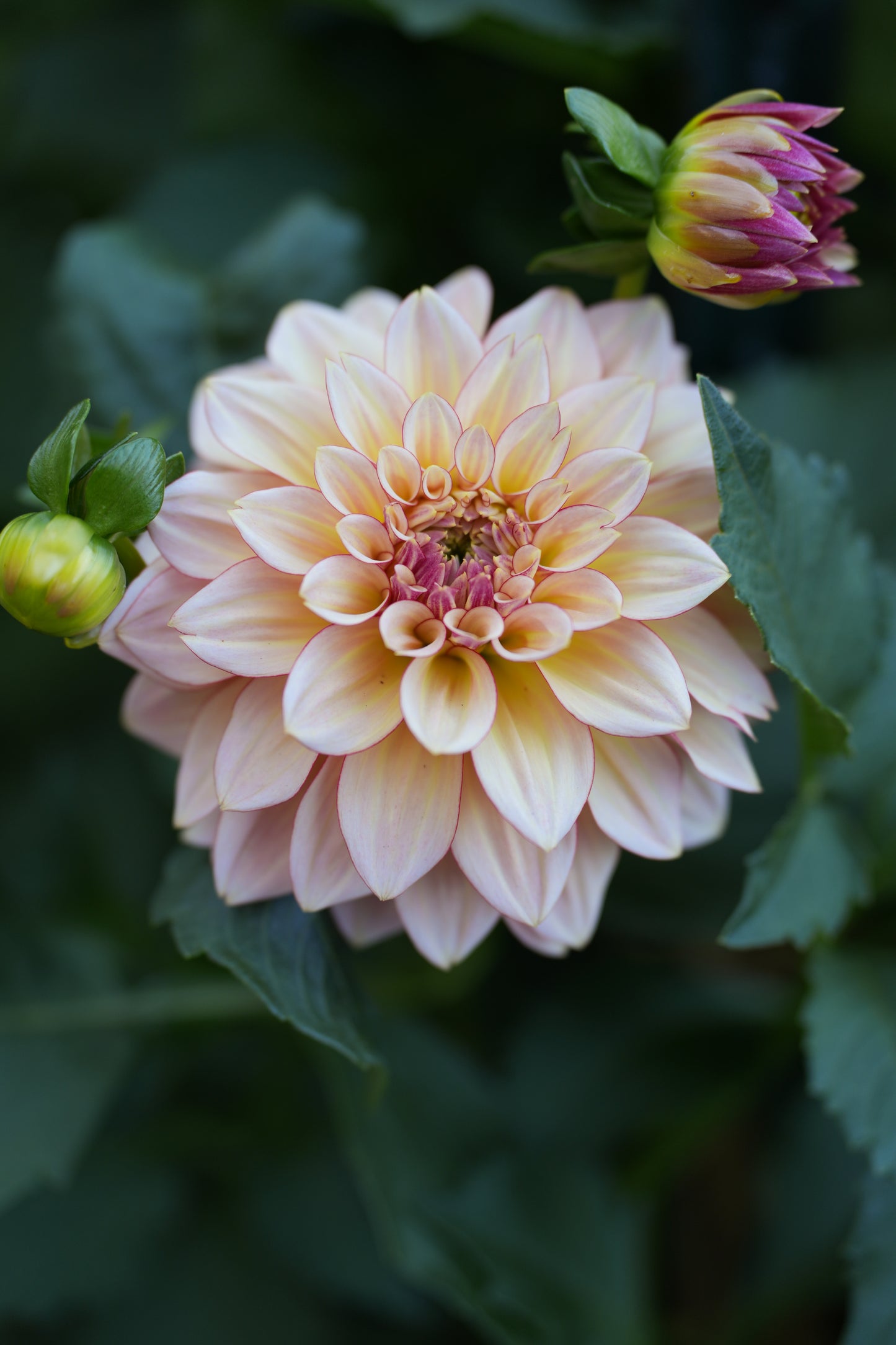 RM WARMTH - NEW 2026!