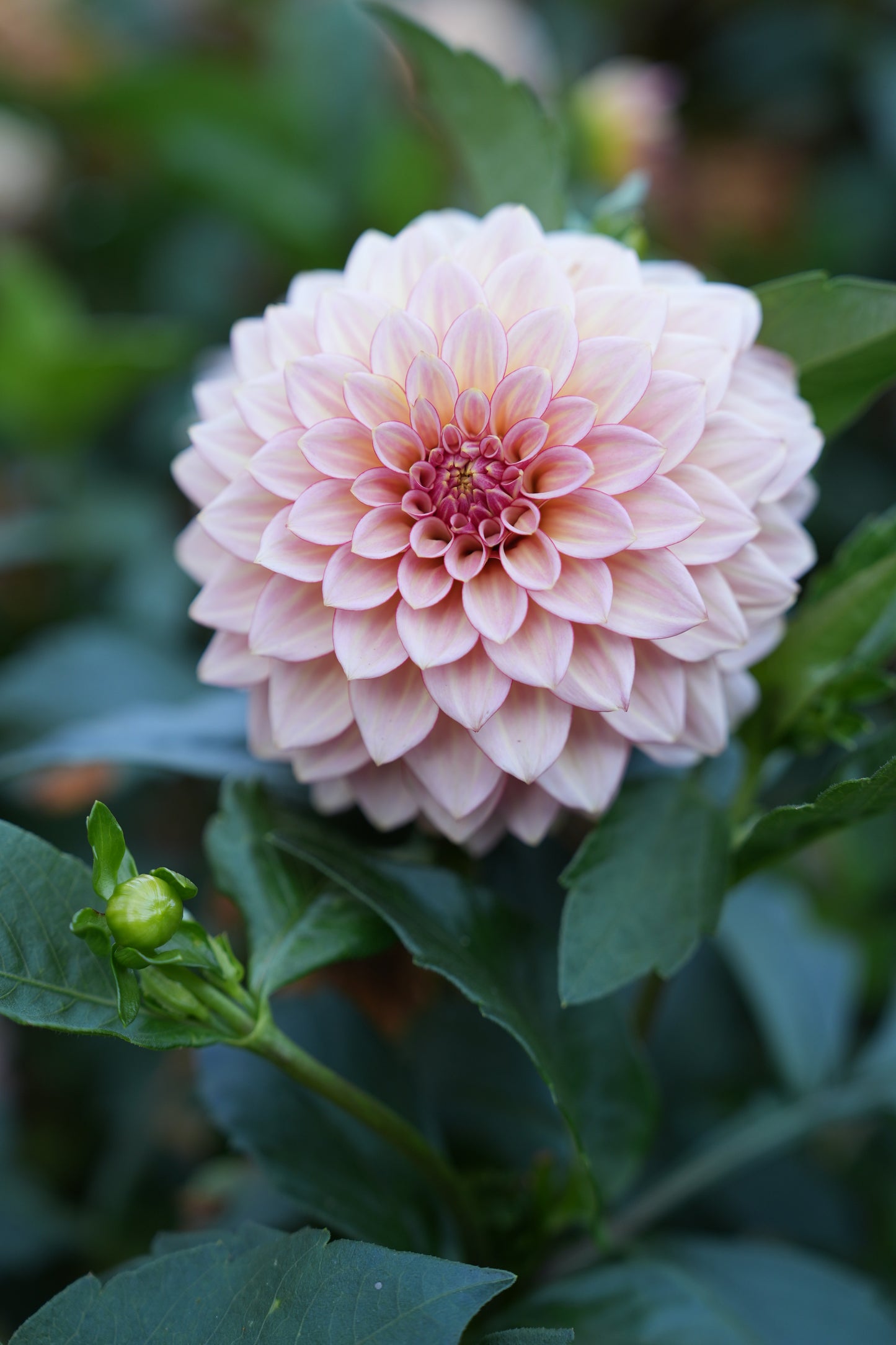 RM WARMTH - NEW 2026!